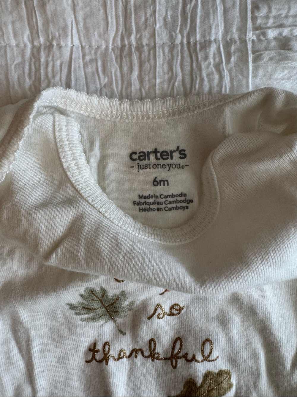 Carter's Thanksgiving White Baby Bodysuit with Gold and Green Leaf Detail - Picture 4 of 7